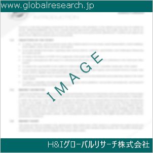 グローバルリサーチ調査資料のイメージ